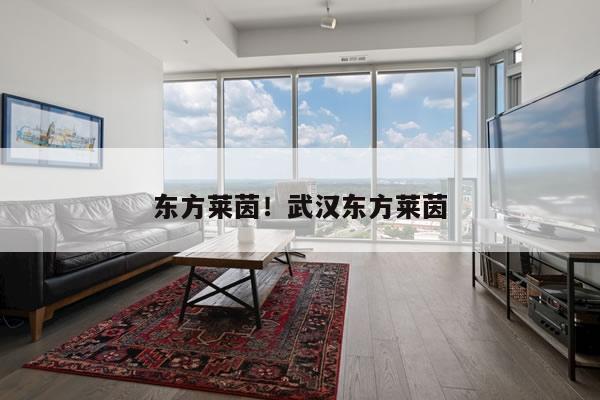 东方莱茵!武汉东方莱茵